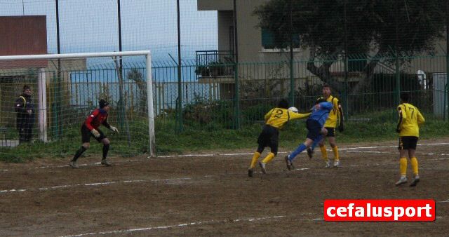 110226_realpa 208y_tn.jpg